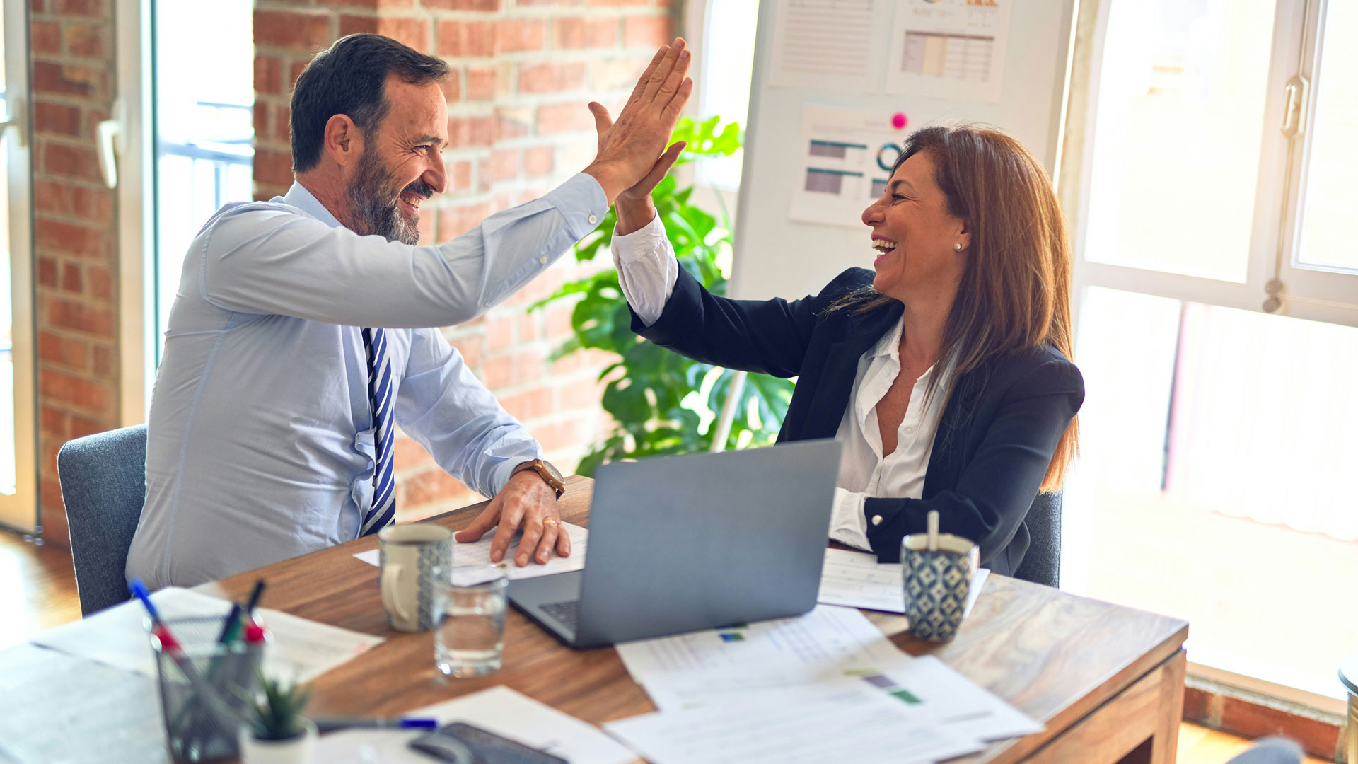 Environmental Solutions